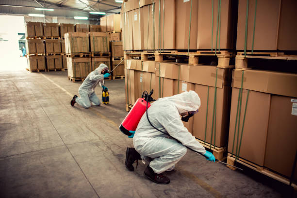Best Pest Removal Services  in Margaret, AL
