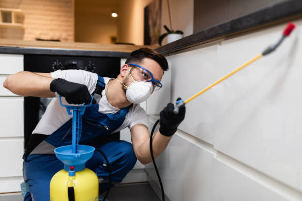 Best Mosquito Control Services  in Margaret, AL