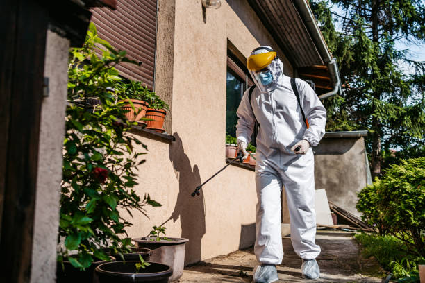 Best Emergency Pest Control  in Margaret, AL