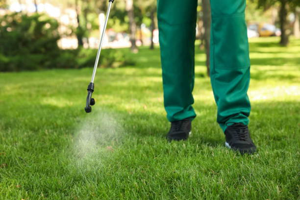 Best Bed Bug Extermination  in Margaret, AL