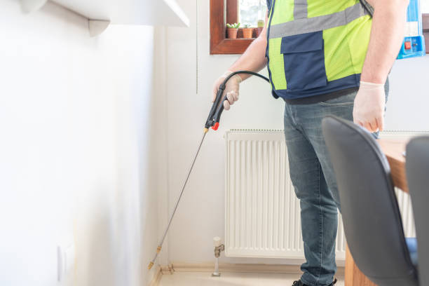 Best Termite Control Services  in Margaret, AL