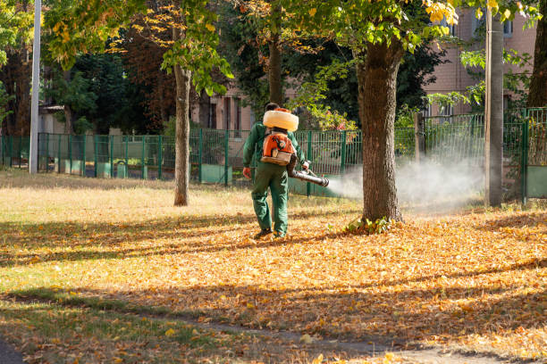 Best Pest Control Near Me in Margaret, AL