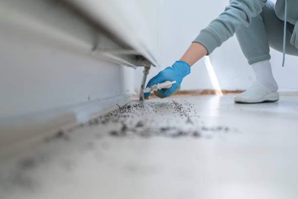 Best Commercial Pest Control Services  in Margaret, AL