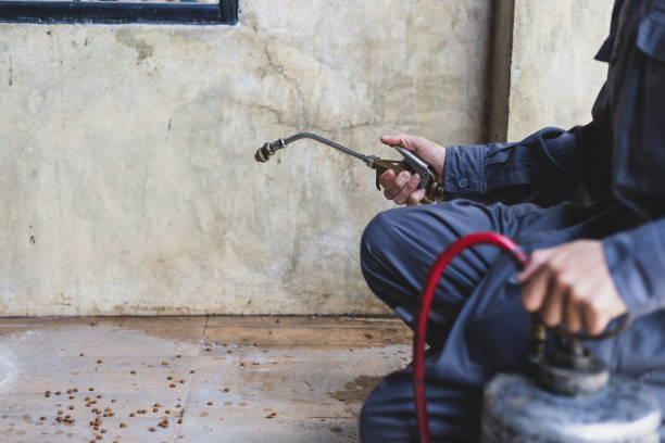 Best Pest Removal Services  in Margaret, AL